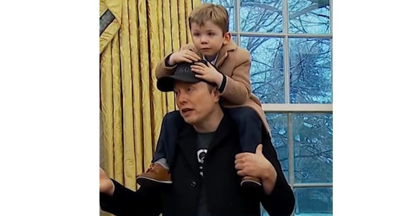 Grimes and Elon Musk's Custody Battle